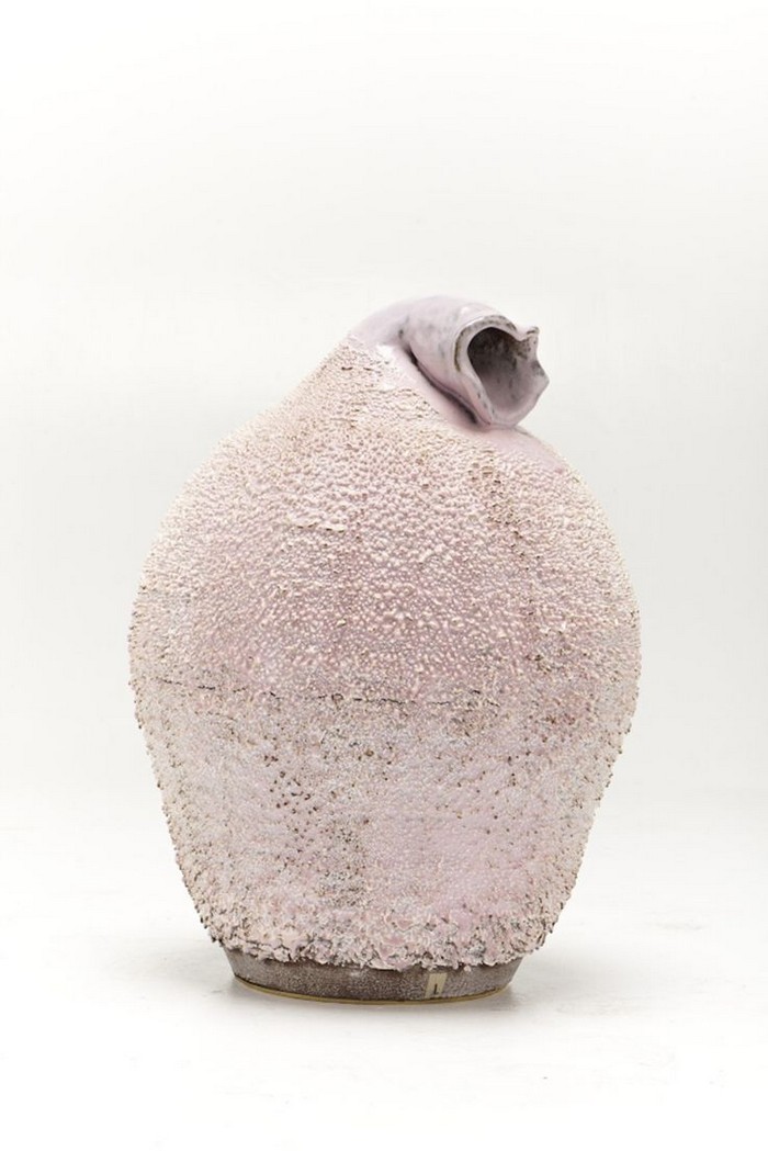 The Haas Brothers is a studio formed by twin brothers Simon and Nikolai Haas. The Accretion Vase is a very good example of the creativity of the brothers.